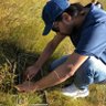 Profilbild von mani मनि (The Plant Person)