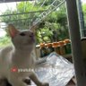 🇲🇨IMBAS 32TAHUN🇲🇨 profil fotoğrafı