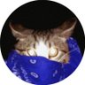 d's profile picture