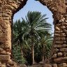 أبو سلوم profil fotoğrafı
