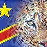 Profilbild von CONGO YANGU