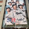 watanabe 的头像