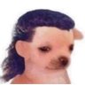 Profilbild von Latina dissociada