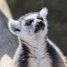 Profilbild von Iain Coull