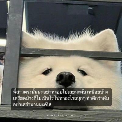 มะเม๋ว's profile picture