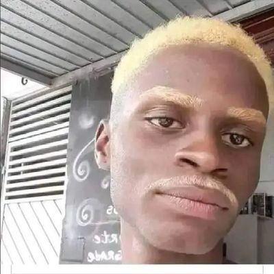 Katamanja's profile picture
