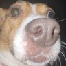 Profilbild von Ghost