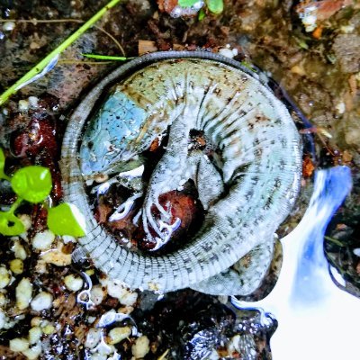 x_y_es's profile picture
