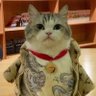 Profilbild von HAHAHIHI