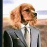Ofisi ya Gavana's profile picture