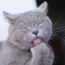 Profilbild von Trixi Qui