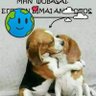 Μπιλινα profil fotoğrafı