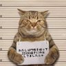 Profilbild von ピュンピュン丸
