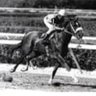 Profilbild von 🏇Pura Hipica🏇