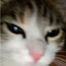 Profilbild von Jojo…