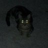 Profilbild von Mateo REACHEL