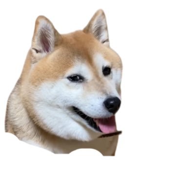 oDH4ypbTj5sRI1X's profile picture