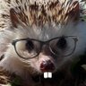 Profilbild von Sagern