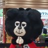 Фото профиля みちみち
