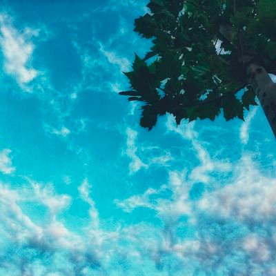 玩鞋视频(ENGAGE)'s profile picture