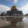 Фото профиля حافظ أمين