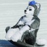 Gravity Storm 🔜 FWA's profile picture