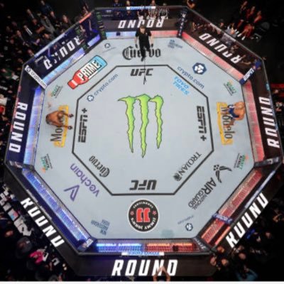 octagonobsessed's profile picture