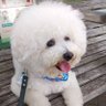 みー🇯🇵@2/15宮島競艇 profil fotoğrafı