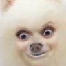 ኃﾝቻがቺﾘቺﾘ's profile picture