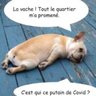 gilles du pin profil fotoğrafı