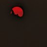Patriot's profile picture