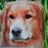 Profilbild von Andrew