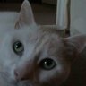 Sammy 的头像