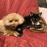 くっちー's profile picture