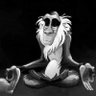 Profilbild von Jambase🦍🦍🦍🖤🖤🖤
