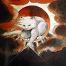 Фото профиля Dr. Eric
