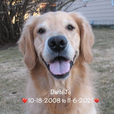 Darbi Jo The Golden's profile picture