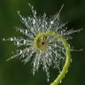 Tow. Mayorowa profil fotoğrafı