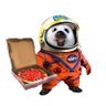 Фото профиля N A F O Sealstronaut 🦭🇺🇦