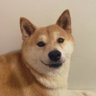 Profilbild von Démodé