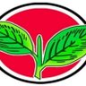 Thamari Kannan - "Say No To Drugs & DMK" 的头像