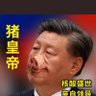 Фото профиля 盼民主,盼自由