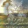 أنامل شاعر 的头像