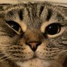 byARCTIC's profile picture