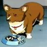 Profilbild von Guilherme