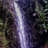 Фото профиля Juan Ponce©