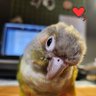 Profilbild von Helly