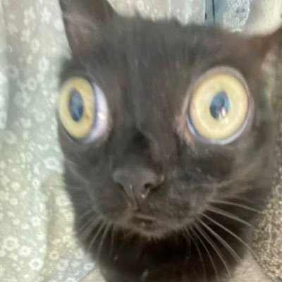 sweedern's profile picture
