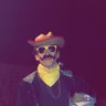 Gus V.'s profile picture