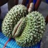 Фото профиля สายเลีย